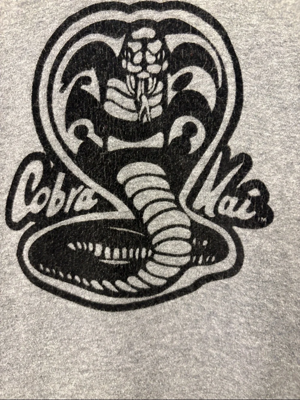 GAP Gray Hoodie with Cobra Kai Graphic Size XXL husky